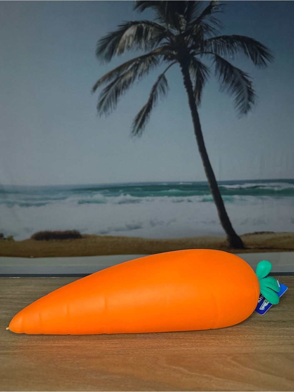 Jumbo Carrot Squishy